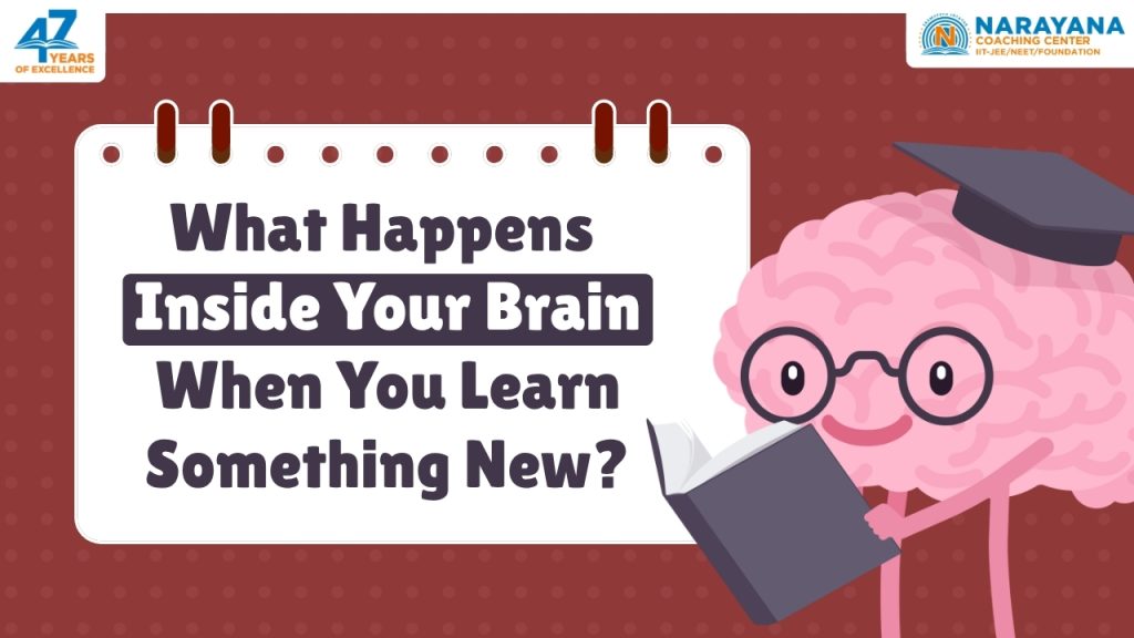 What Happens Inside Your Brain When You Learn Something New?